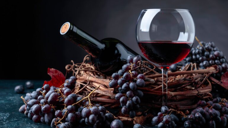 Rezultati poslovanja poduzetnika u proizvodnji vina i uzgoju grožđa u 2022. godini
